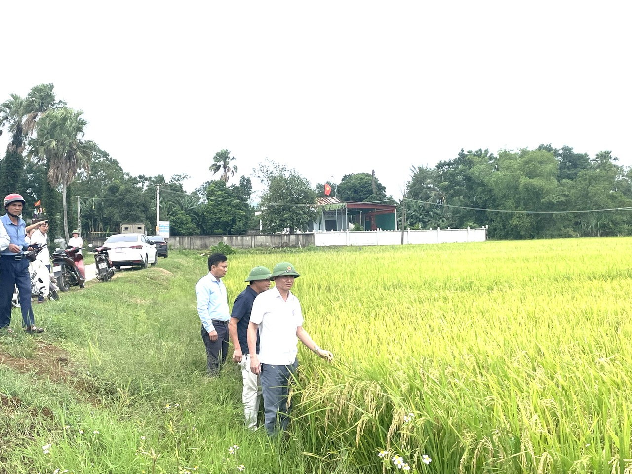Anh-tin-bai